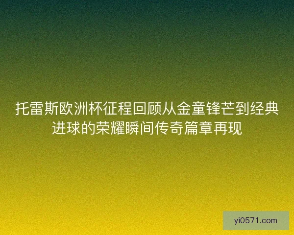 托雷斯欧洲杯征程回顾从金童锋芒到经典进球的荣耀瞬间传奇篇章再现
