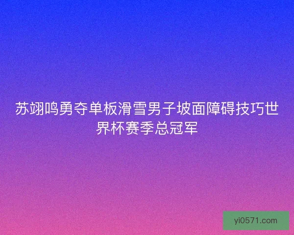 苏翊鸣勇夺单板滑雪男子坡面障碍技巧世界杯赛季总冠军