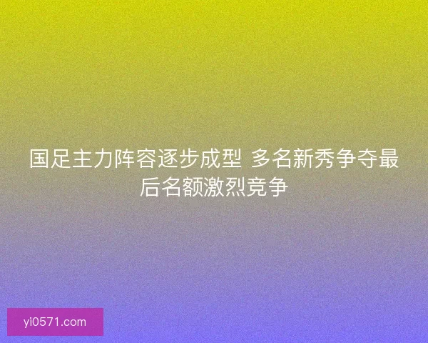 国足主力阵容逐步成型 多名新秀争夺最后名额激烈竞争 国足主力阵容逐步成型 多名新秀争夺最后名额激烈竞争